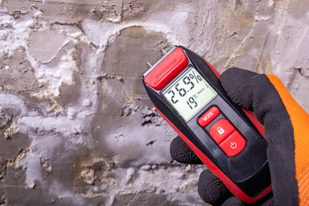 Best Commercial Mold Removal  in Colfax, IA