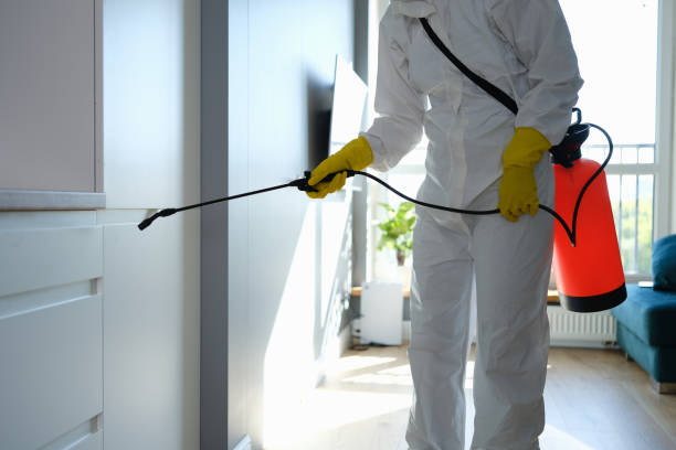 Best Mold Remediation Experts  in Colfax, IA